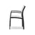 Fusion Dining Arm Chair