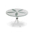 Organic Sand Dollar 42" Diameter Dining Table